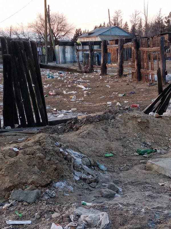 Собаки растаскивают мусор из контейнеров в забайкальском посёлке