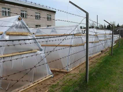 Сбежавшего из ИК-10 осуждённого задержали в дачном кооперативе Краснокаменска