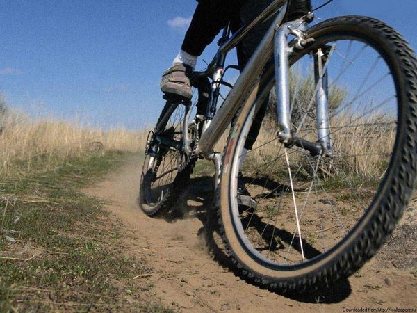 Иномарка насмерть сбила велосипедиста в Кыринском районе