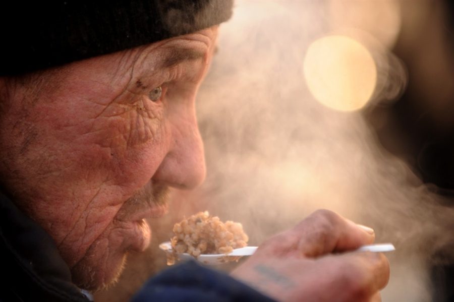 Волонтёры будут кормить бездомных в Чите