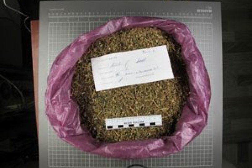 Полиция задержала жителя посёлка Белореченский за хранение 1,5 кг марихуаны