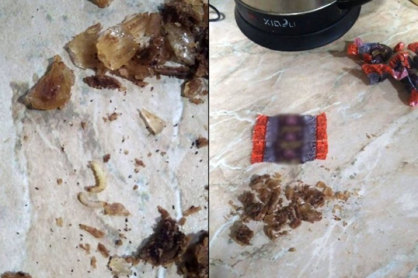 СМИ сообщило о втором за 2018 год случае обнаружения червяков в конфетах в Тайшете