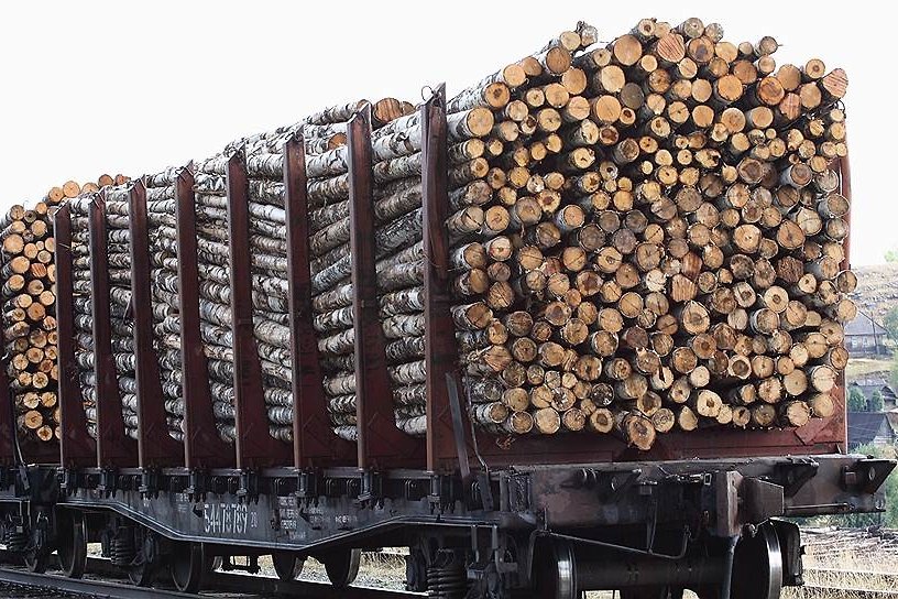 Экспорт леса через Читинскую таможню за год вырос на 35%