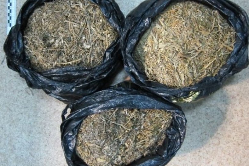 Жителя Приангарья задержали с 5 кг марихуаны в Усть-Куте – в 50 раз выше крупного размера
