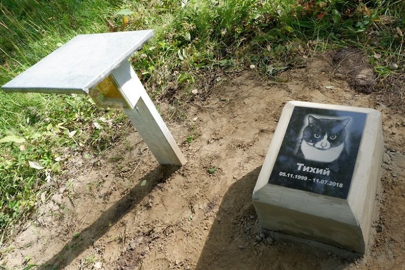 Стихийное кладбище домашних животных ликвидируют в Усолье-Сибирском