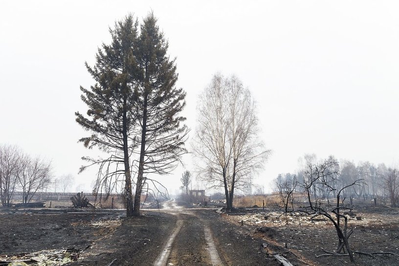 Пять лесных пожаров зарегистрированы в заказниках Приангарья с 1 по 3 июля