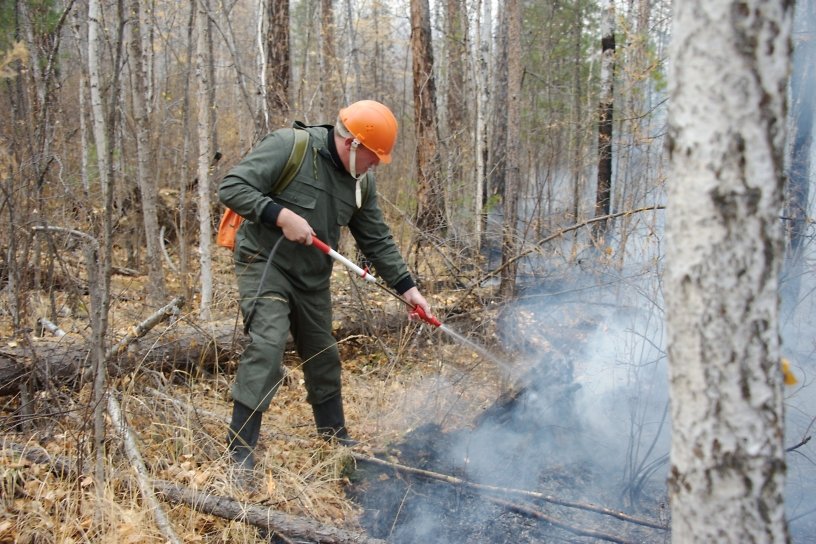 Один лесной пожар действует в Забайкалье