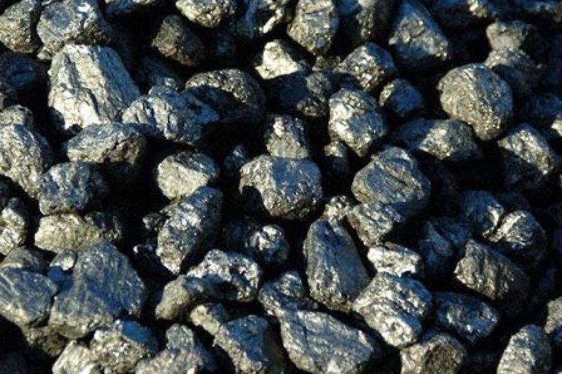 Суд Нижнеудинска приостановил работу предприятия за отгрузку угля вблизи школы и детсада