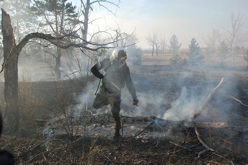 49 человек тушат лесной пожар в Могочинском районе