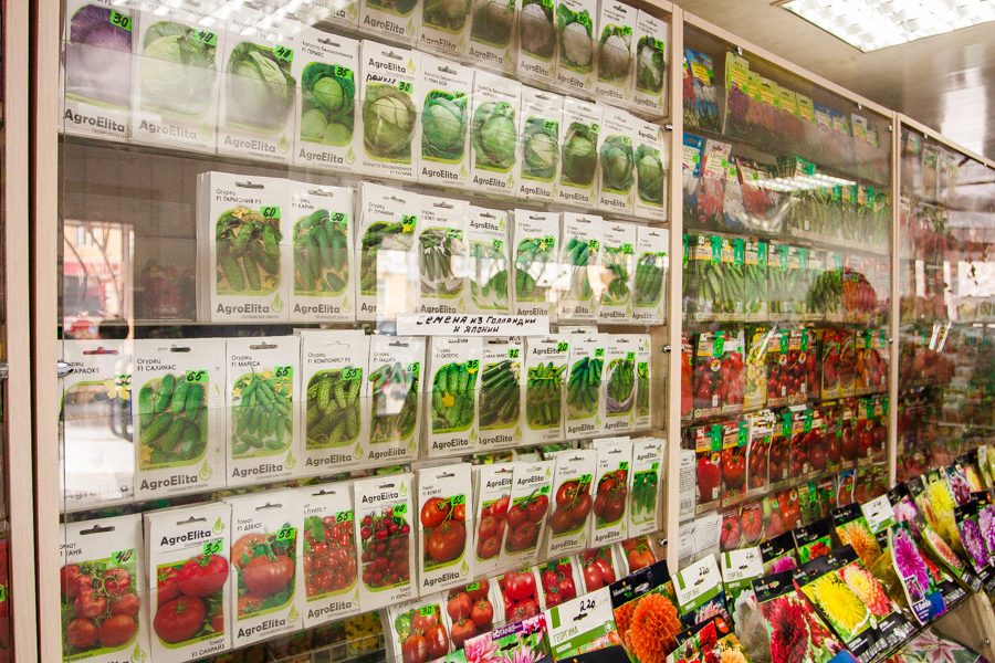 Продажа семян в москве марихуана как употреблять